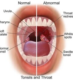 Hope Ear Nose and Throat Clinic