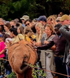 Kenyan Adventures